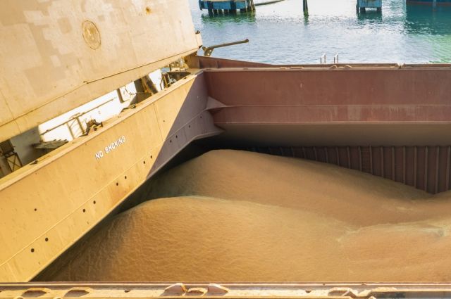 hindistan-hukumeti-bugday-ihracat-kotasini-5-milyon-tona-cikardi