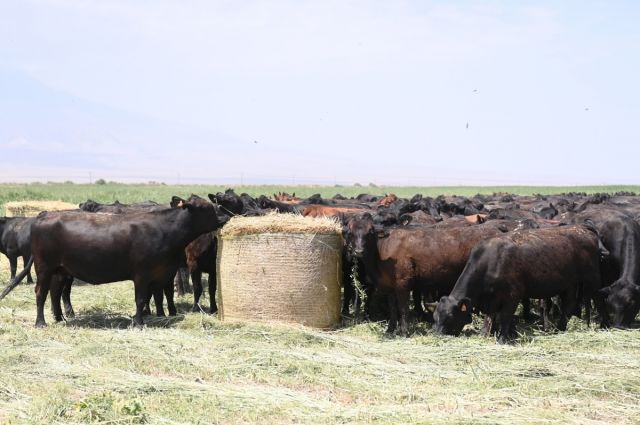 tigem-duve-desteginde-9.-grup-sureci-basladi