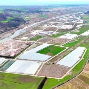 bakan-yumakli:-samsun-bafra-sera-otb’ye-%80-hibe-destegi