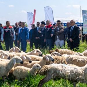 adana’da-245-dekarlik-mera-islah-edilerek-uretime-kazandirildi