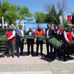 maras-biberi-uretimine-dev-destek:-650-bin-fide-ucretsiz-verildi