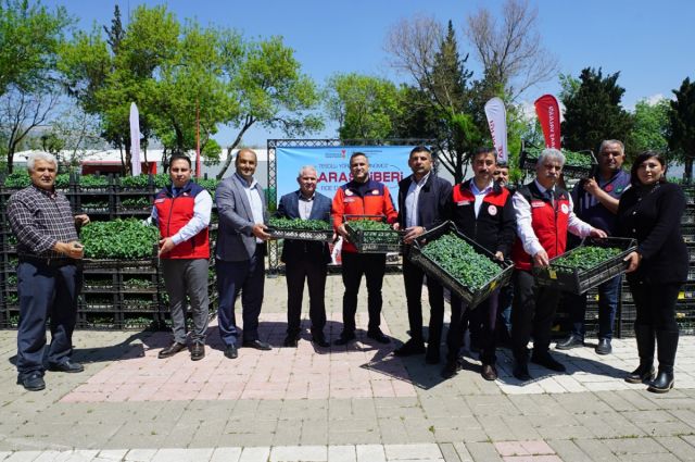 maras-biberi-uretimine-dev-destek:-650-bin-fide-ucretsiz-verildi