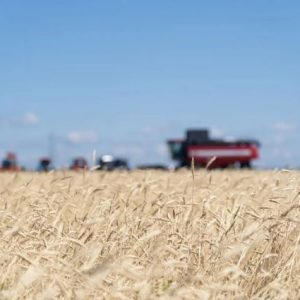 turkiye-rusya’dan-bugday-ithalatini-6-milyon-tonun-uzerine-cikardi