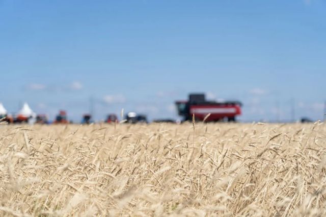turkiye-rusya’dan-bugday-ithalatini-6-milyon-tonun-uzerine-cikardi
