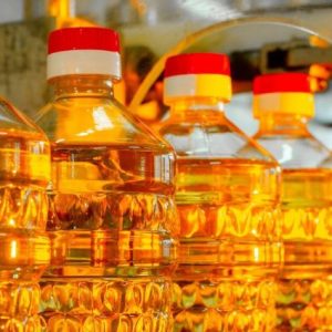 rusya-hukumeti-aycicek-yagi-baz-ihracat-fiyatlarini-artirdi