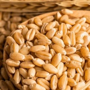 reuters:-suudi-arabistan-gfsa-710-bin-ton-bugday-ihalesi-acti