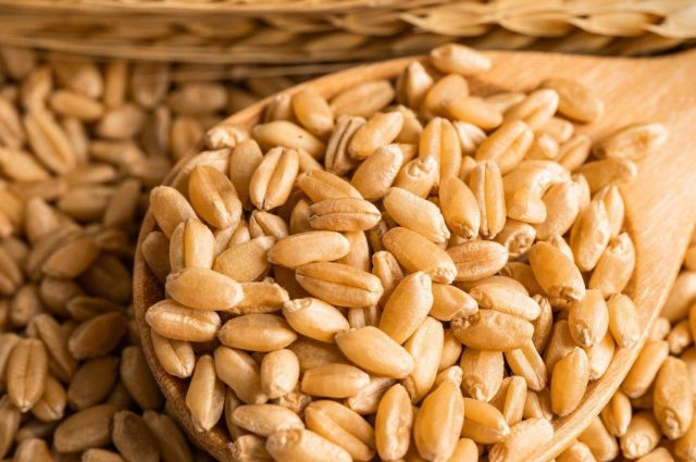 reuters:-suudi-arabistan-gfsa-710-bin-ton-bugday-ihalesi-acti