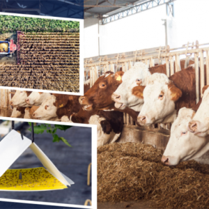 bakan-yumakli-350,9-milyon-tl-destek-odemesini-acikladi