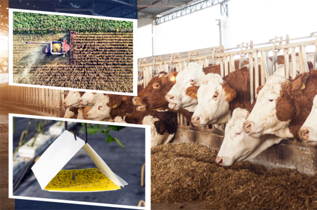 bakan-yumakli-350,9-milyon-tl-destek-odemesini-acikladi