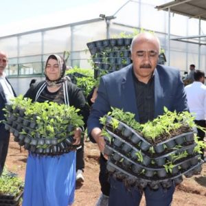 sanliurfa’da-ciftciye-1-milyon-ucretsiz-fide-destegi