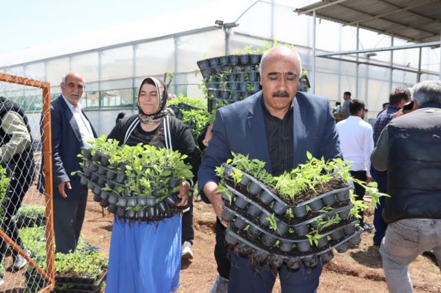 sanliurfa’da-ciftciye-1-milyon-ucretsiz-fide-destegi