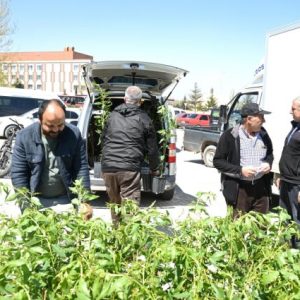 ciftciye-yuzde-50-hibeli-fidan-destegi