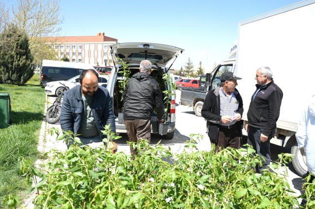 ciftciye-yuzde-50-hibeli-fidan-destegi