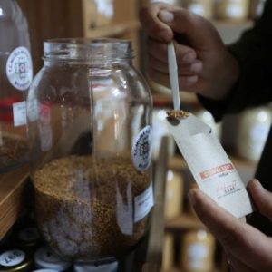 mugla’nin-ata-tohumlari-turkiye’nin-81-iline-umut-oldu