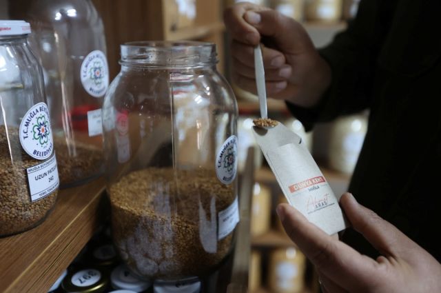 mugla’nin-ata-tohumlari-turkiye’nin-81-iline-umut-oldu