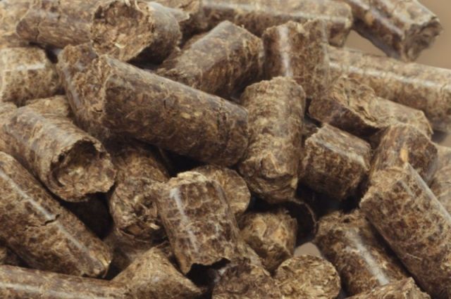 kuresel-yem-uretimi-1,44-milyar-tona-cikti