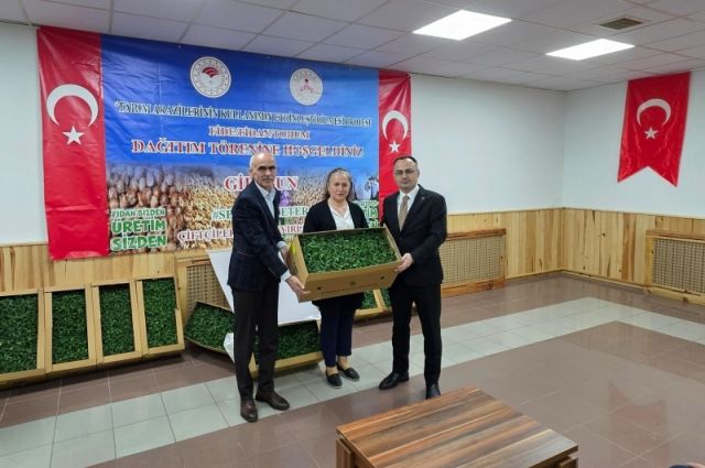 giresun’da-%75-hibeli-domates-fidesi-dagitimi-yapildi