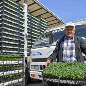 ankara’da-ciftciye-fide-destegi-suruyor