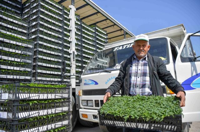 ankara’da-ciftciye-fide-destegi-suruyor