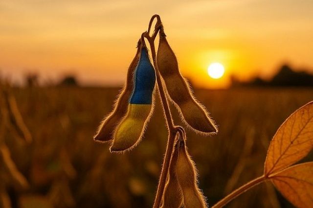 arjantin,-ab’ye-yonelik-soya-ihracatini-korumak-icin-hb4-onlemlerini-artirdi