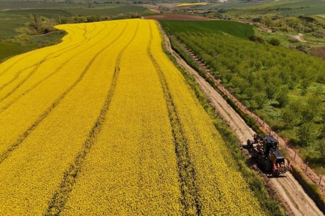tekirdag-buyuksehir’den-tarla-yollarinda-hasat-mesaisi