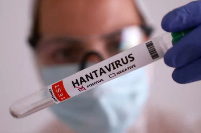 kars-vho-baskani-odul:-turkiye’de-hantavirus-vakasi-yok