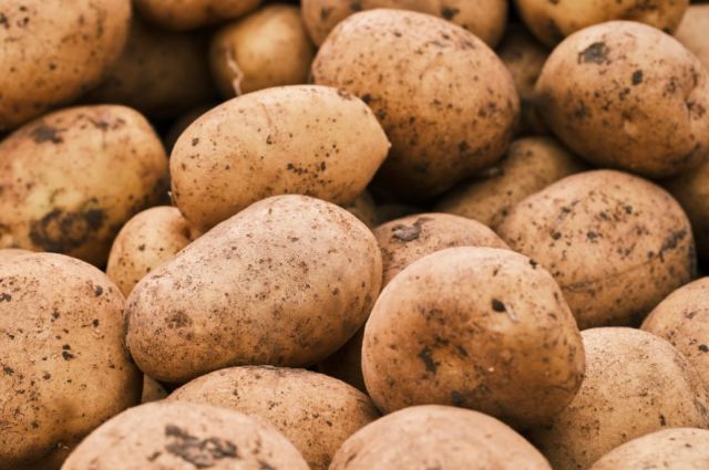 avrupa'da-patates-borsasi-bir-ayda-yuzde-704-yukseldi