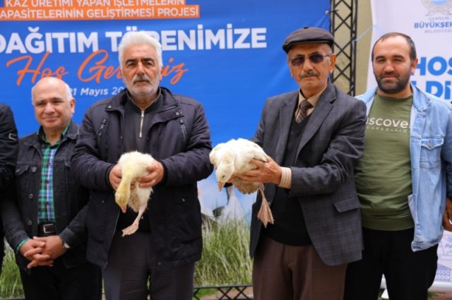 samsun-buyuksehir-belediyesi-ureticilere-kaz-palazi-dagitti