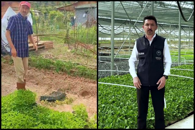 tagem:-ata-tohumu-yasaklanmadi,-denetimsiz-satisa-ceza-var
