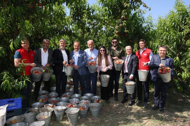 turkiye-seftali-ihracatinda-yuzde-347'lik-rekor-artis-yakaladi