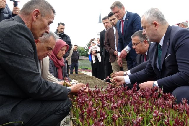 samsun’da-salep-uretimi-5-yilda-106-dekara-cikti