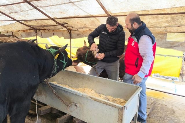 giresun-il-tarim'dan-ulper-kurban-pazarinda-siki-denetim