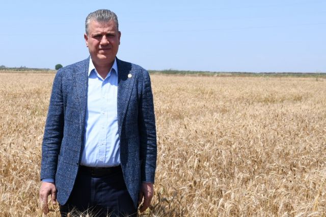 chp'li-barut:-tmo-cukurova-bugday-alim-fiyatini-20-lira-aciklamali