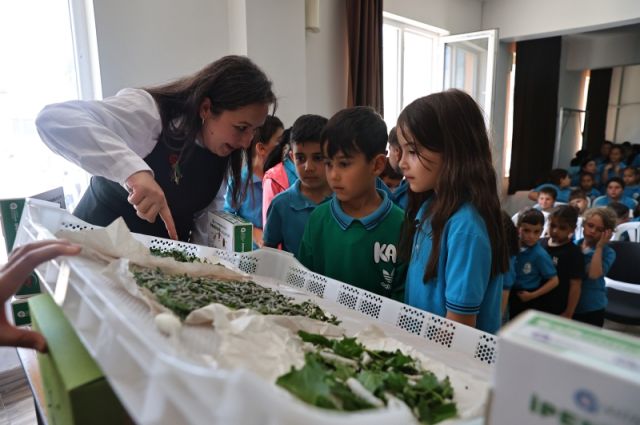 antalya-buyuksehir’den-cocuklara-ipekbocegi-egitimi