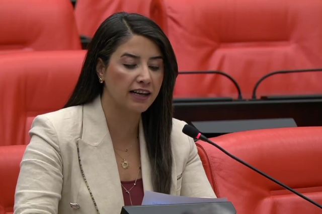 dem-partili-dilan-kunt-ayan-tmo-fiyatlarinin-guncellenmesini-istedi