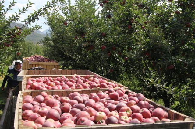 tzob-baskani-bayraktar:-uretici-ve-market-arasindaki-fiyat-farki-4,9-kata-cikti