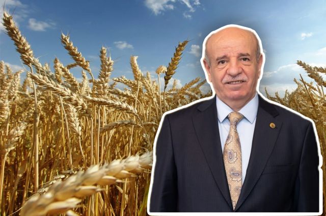 tusaf-baskani-cakmak:-tmo-alim-fiyati-dengeli,-hasat-yuksek-olacak