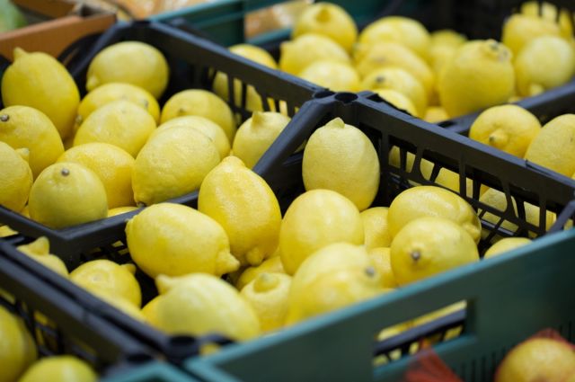 turkiye’nin-limon-ihracati-miktar-bazinda-duserken-gelir-402,5-milyon-dolara-yukseldi