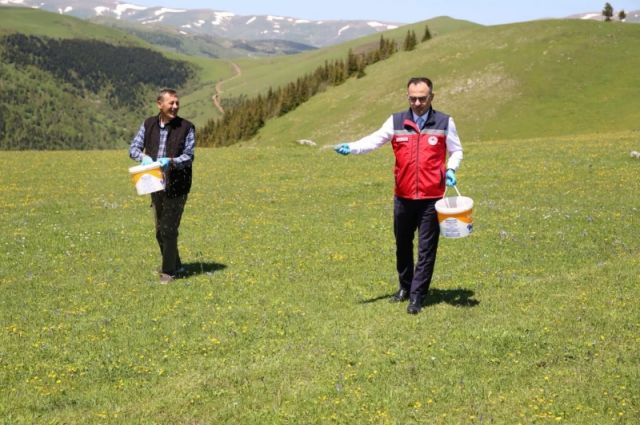 giresun-tarim-mudurlugu-dereli’de-mera-gubrelemesi-yapti