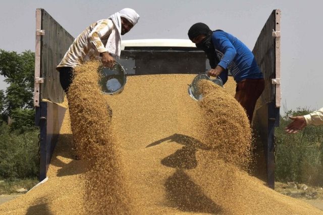 agroexport:-rusya,-afrika-bugday-pazarindaki-payini-buyuttu