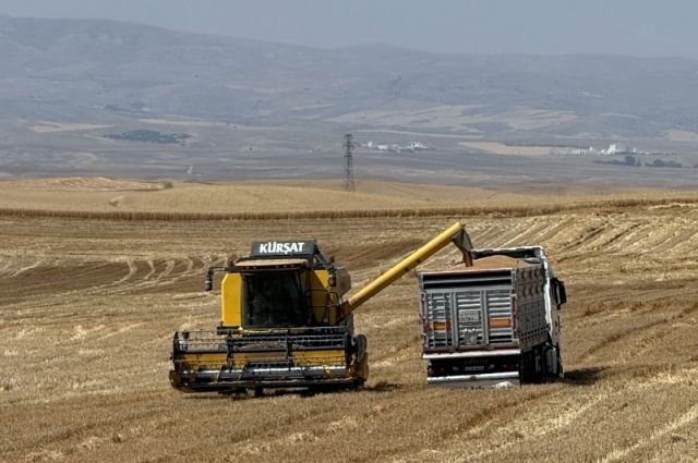 tmo:-12,2-milyar-lira-hububat-odemesini-hesaplara-aktardi