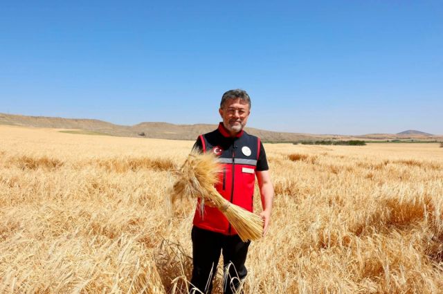 bakan-yumakli:-hububat-alimi-8,3-milyon-tona-ulasti