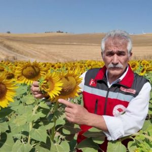 tekirdag'dan-ayciceginde-arilarin-verimine-dikkat-ceken-uyari