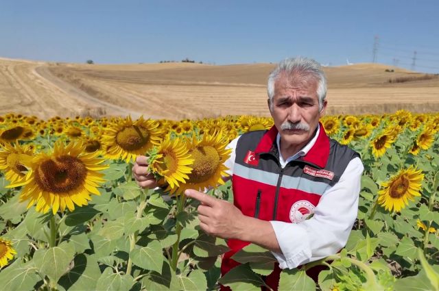 tekirdag'dan-ayciceginde-arilarin-verimine-dikkat-ceken-uyari