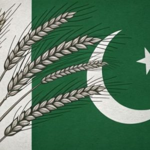 pakistan-hukumeti-1-milyon-ton-bugday-ithalati-planliyor