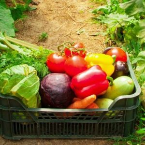 antalya-ticaret-borsasi:-sebze-fiyat-endeksi-yuzde-64-artti