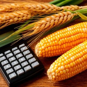 fao-acikladi:-bugday-ve-misir-fiyatlari-temmuzda-artti