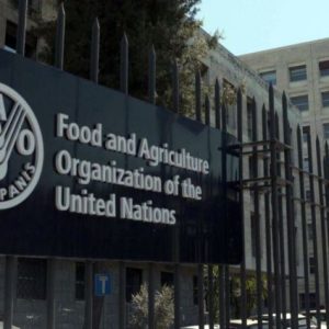 fao:-dunya-gida-fiyat-endeksi-temmuzda-yuzde-0,6-yukseldi