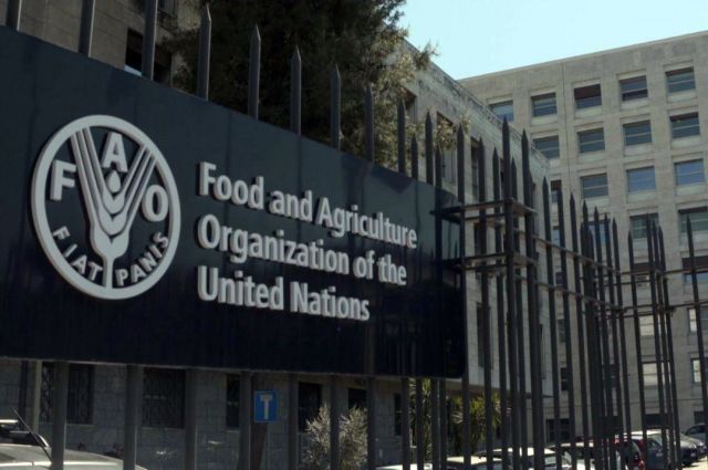 fao:-dunya-gida-fiyat-endeksi-temmuzda-yuzde-0,6-yukseldi