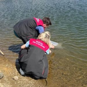 balikesir’de-goletlere-116-bin-sazan-yavrusu-birakilacak